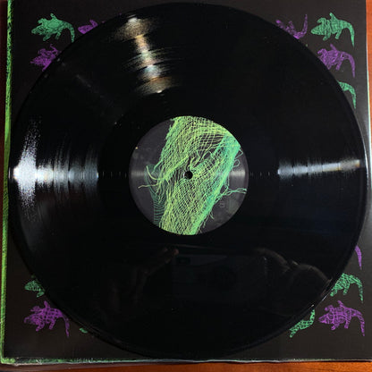 Avey Tare : Down There (LP, Album, RE)